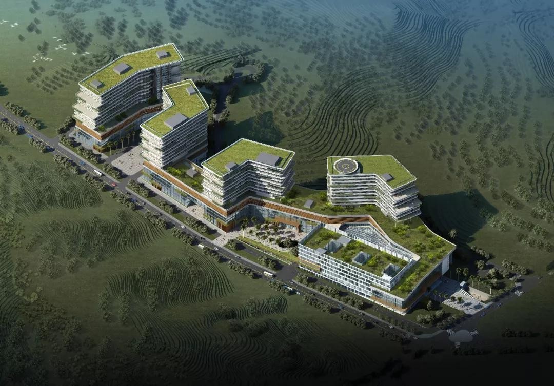 龍華醫(yī)院項(xiàng)目